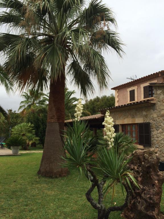 Jardi De Papallones Pollença Buitenkant foto